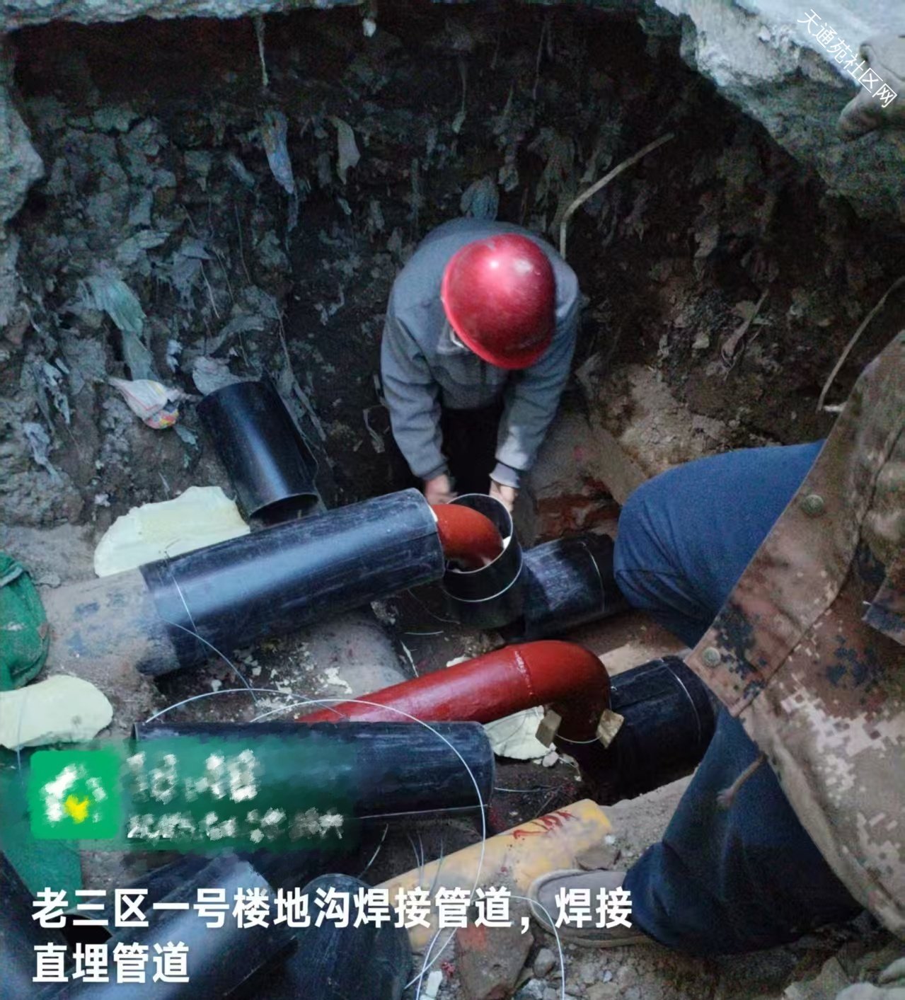 “冬病夏治”天陽在行動